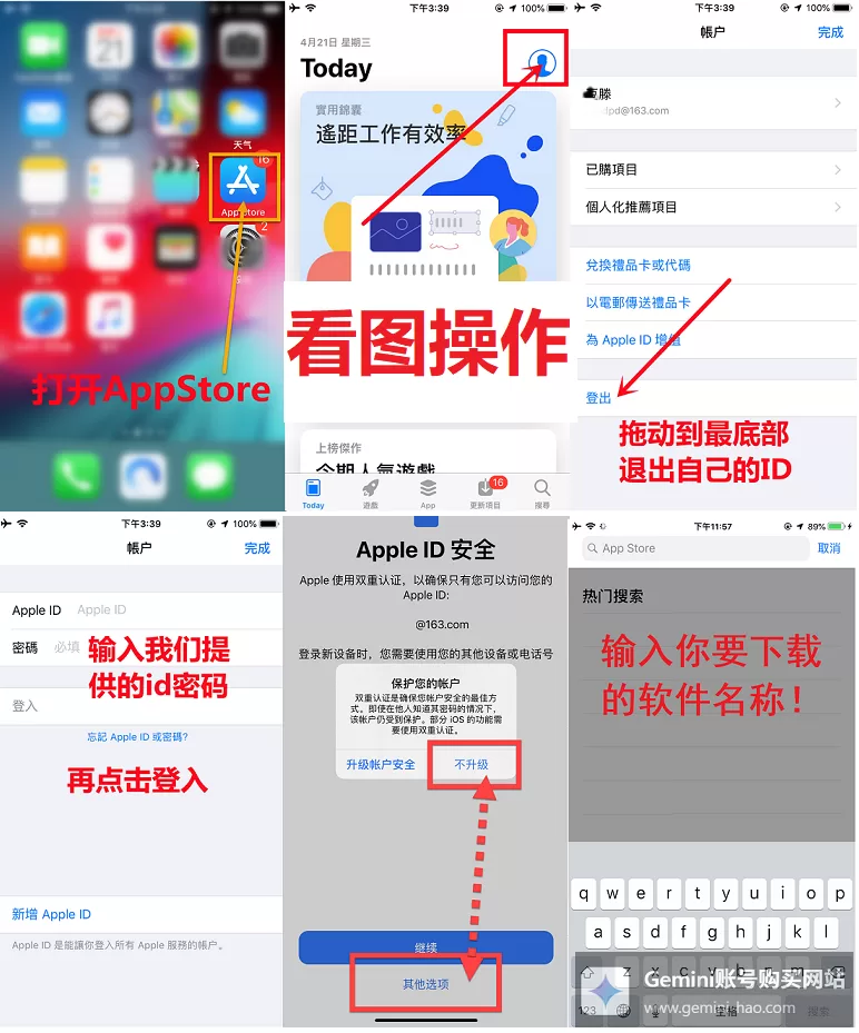 Gemini国内怎么使用？（中国大陆使用详细指南）